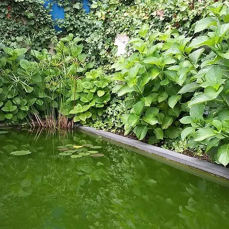 Garden House Porto